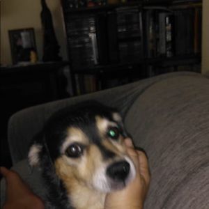 Meet your Posher, Marcelo